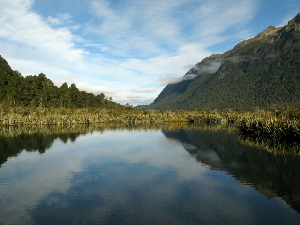 Milford Sound, Te Wahipounamu, New Zealand